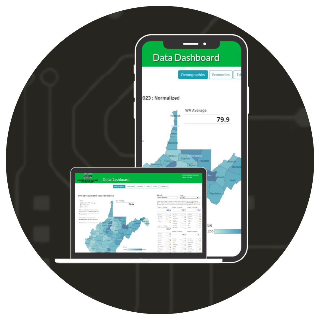 Data Dashboard Image