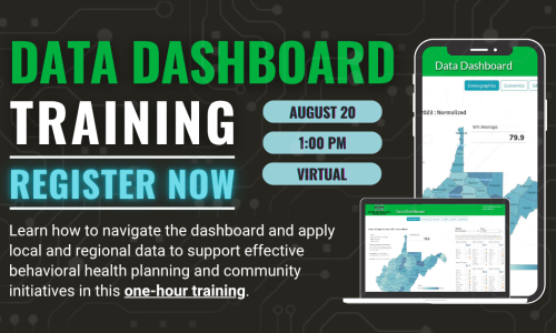 Data dashboard web training image